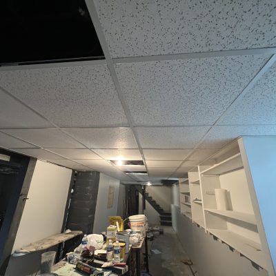 professional repairing plaster walls and ceilings